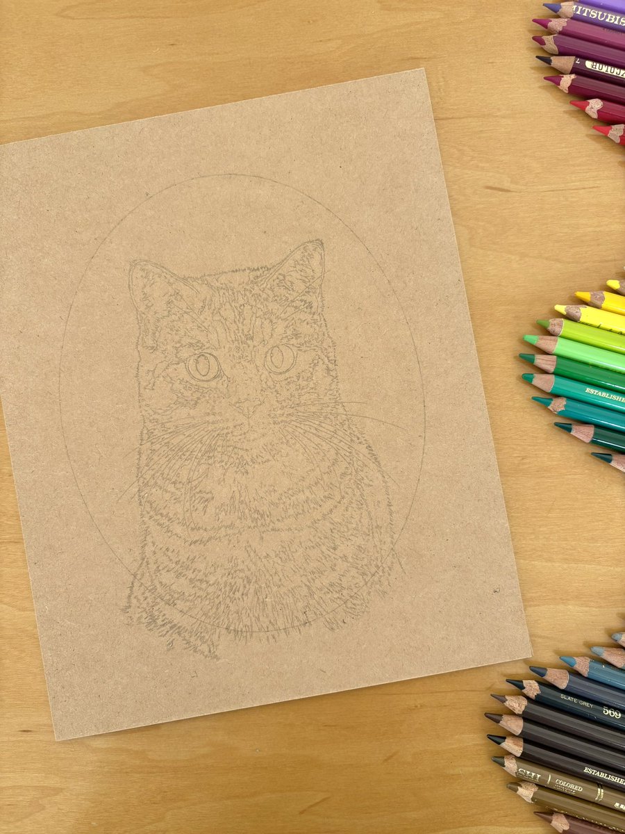 今年最後のお客様😸✏️ #色鉛筆 #まだ下描き #キジトラ #キジトラ猫