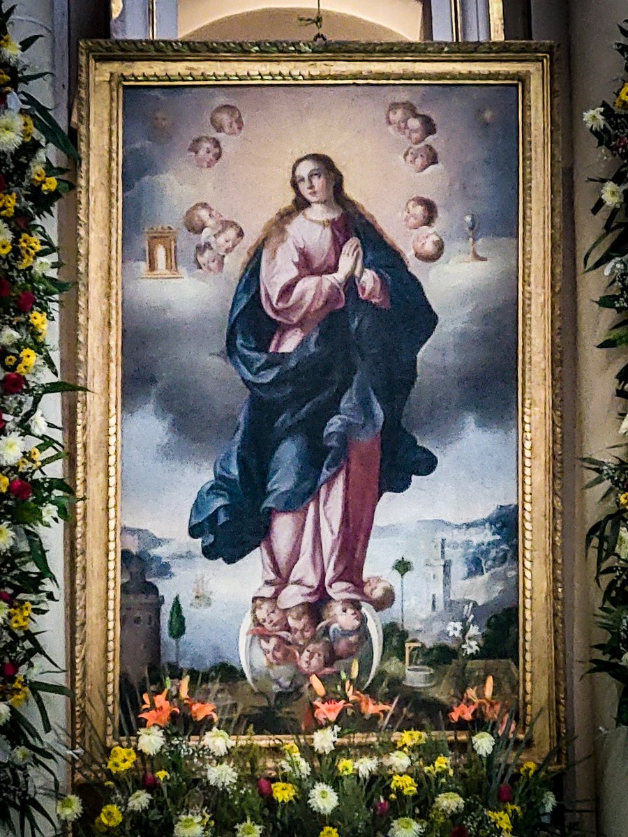 Based Taco 🌮 tweet media