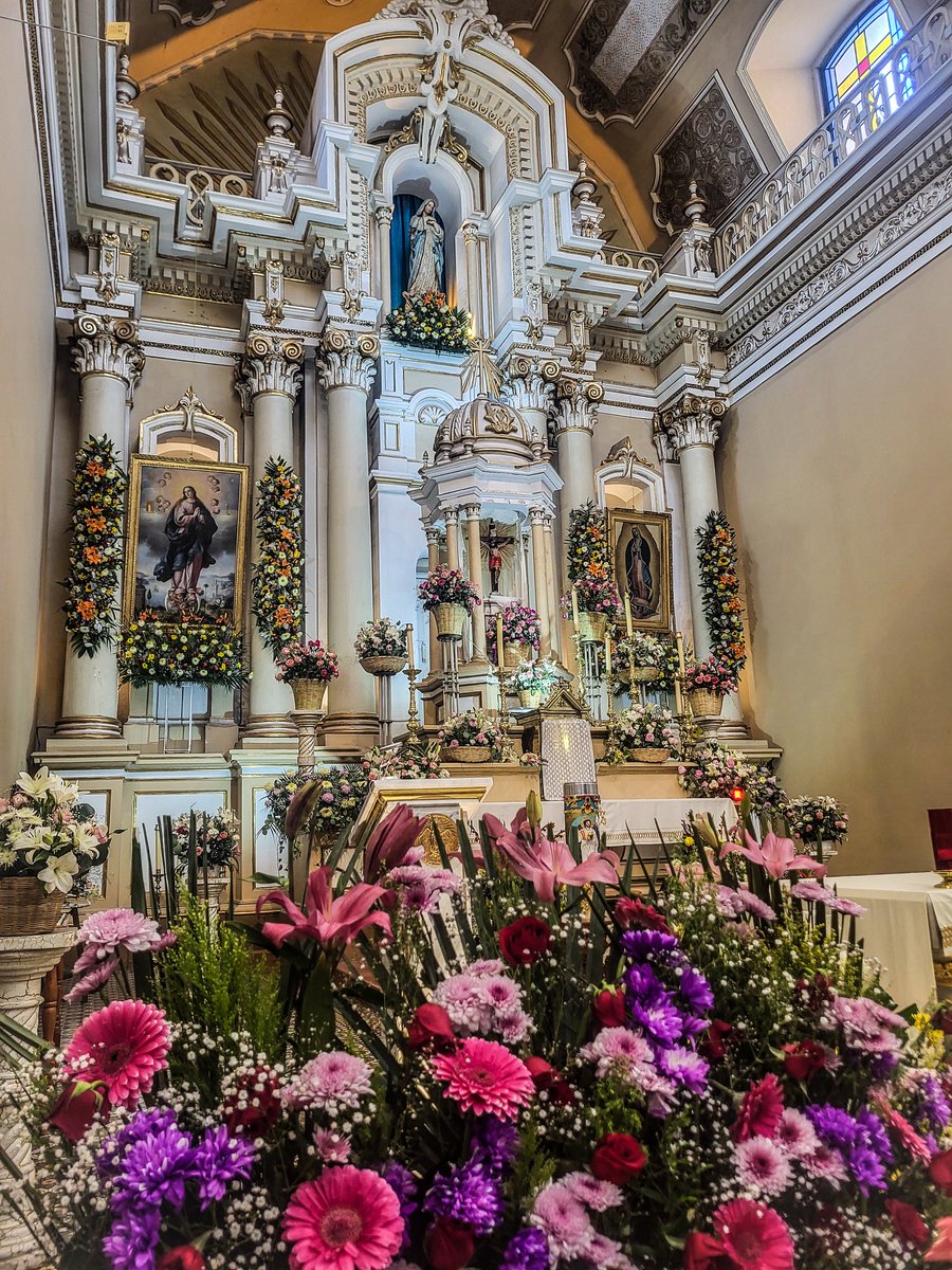 Based Taco 🌮 tweet media