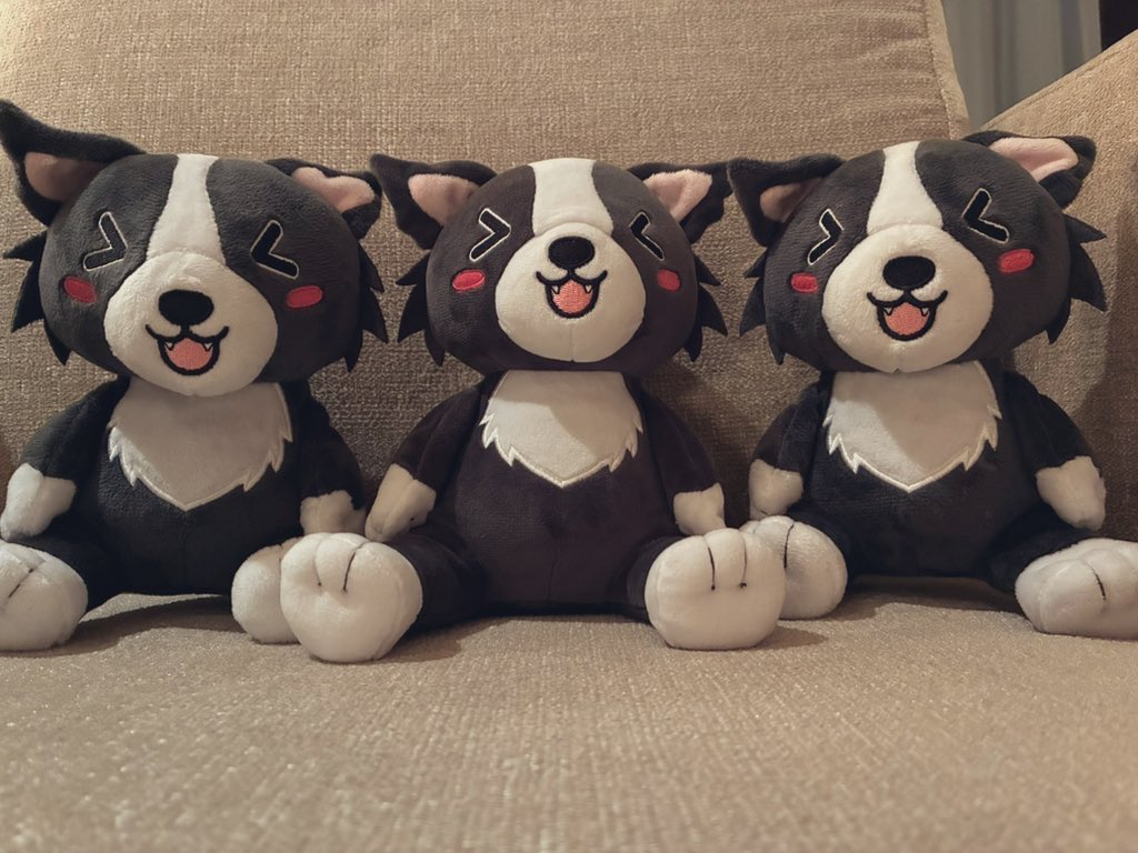 おはよ✨(タイムラインに犬や猫の画像ばかりになると聞いて)