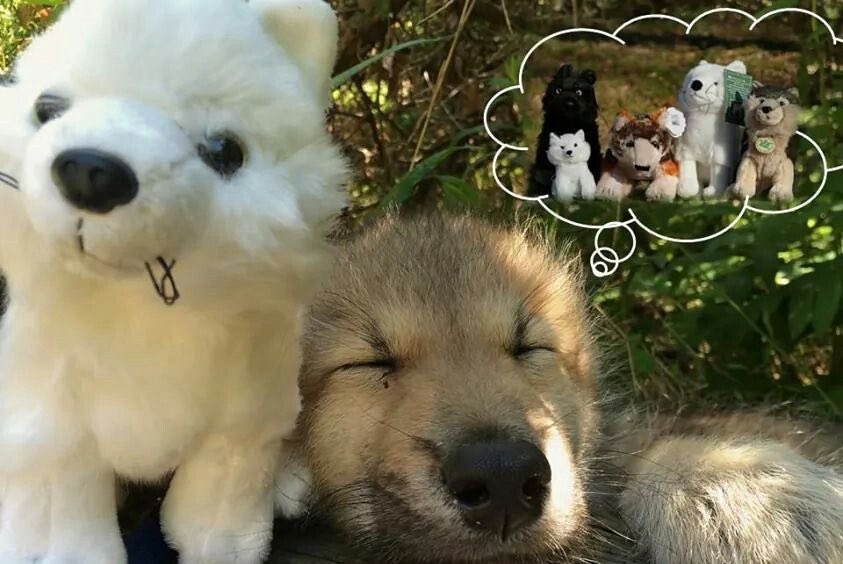 How blessed I am to be friends with  Beautiful people that I forever miss them when we are apart