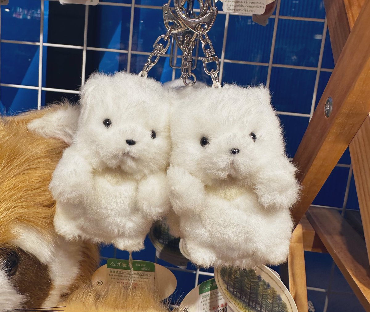 プチ森のなかま クマ白（キーチェーン付き） は、本日ワゴンに並んで