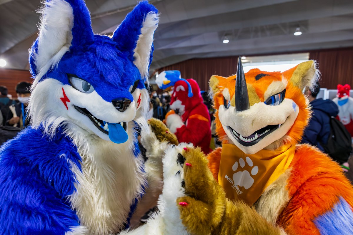 #犬工房 #体育館の日２
#FursuitEveryday