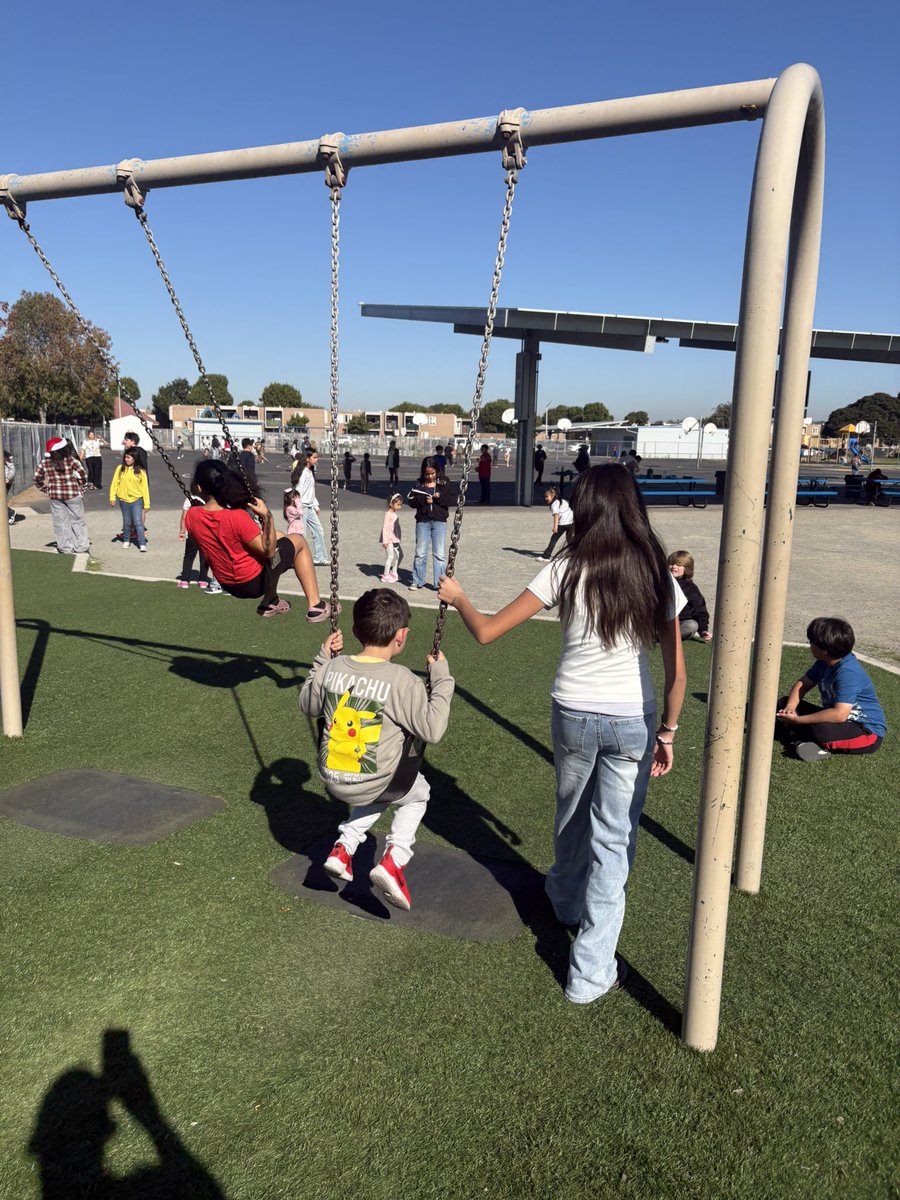 Berry_Bears1 tweet media