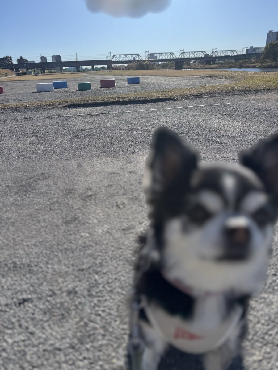 ElseUni's tweet image. ジュンソさんのインスタ聖地巡礼(だだのいつもの散歩道🐕)

instagram.com/p/DSEQcCIElTv/…
#BAE173 #비에이이173
#JUNSEO #聖地巡礼