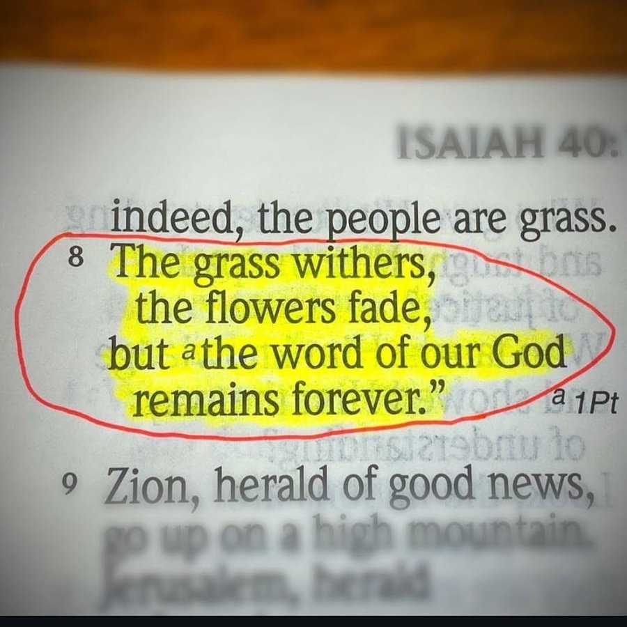 Bible 365 tweet media
