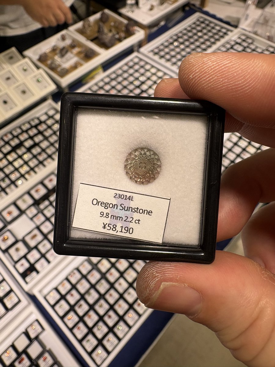 ポンポン様9【1974】ユニコーン   サンストーン 91zP5OklpxL._AC_UF894,