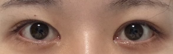 🍣🍣 tweet media