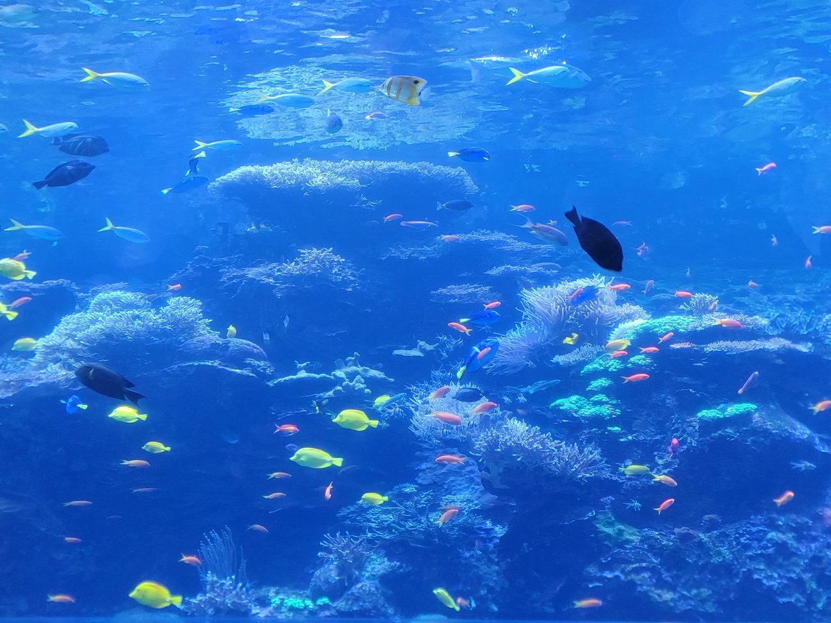 منتهى ✨️ tweet media