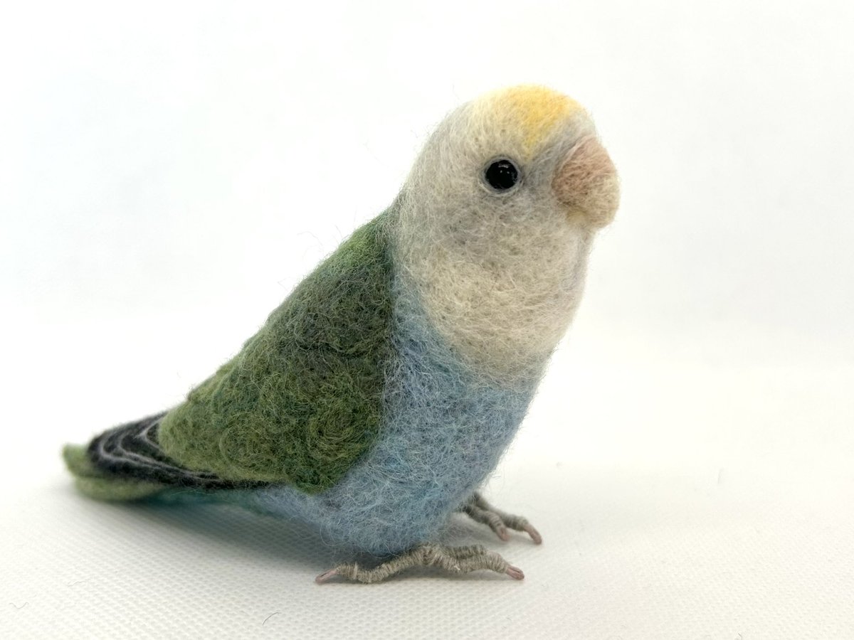 kodamambo_yu's tweet image. 約1/2サイズコザクラインコブルー系オパーリン

#ゴサクラインコ #needlefelting #tinybooboo #羊毛フェルト