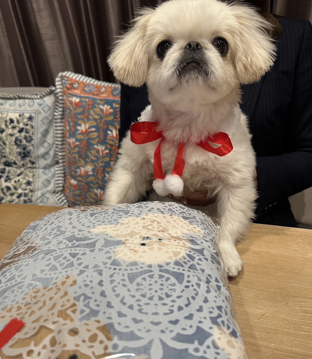 むぎくん (@muuuugi76) / Posts / X