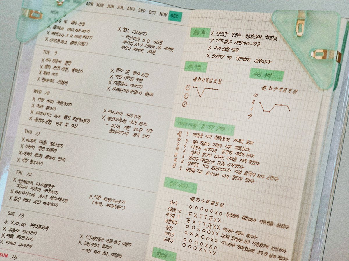 2026년을 책임질 다이어리를 골랐다. 🎶 바로 다이소 투명 커버 다이어리. 가격 때문에 섣불리 접근할 수 없는 호보니치 윅스와 비슷한 레이아웃을 연출할 수 있다. 이번 주는 이렇게 기록을 해보았다. 다음엔 '읽을 책' 항목의 상위 항목인 '주간 목표' 항목을 만드는 변화를 줄 것이다.