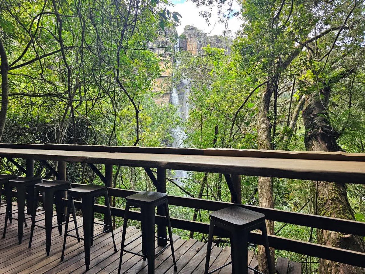 terencematera's tweet photo. A deep forest pool, a walkway through a magical Afromontane forest, and the Big Swing landing deck – if this glimpse of #GraskopGorgeLiftCo stirs your soul, there’s so much more waiting for you.
Plan your visit today
https://t.co/RUwZio1kGY
#PanoramaRoute #BigSwing #ForestMagic #MpumalangaAdventure #NatureLovers