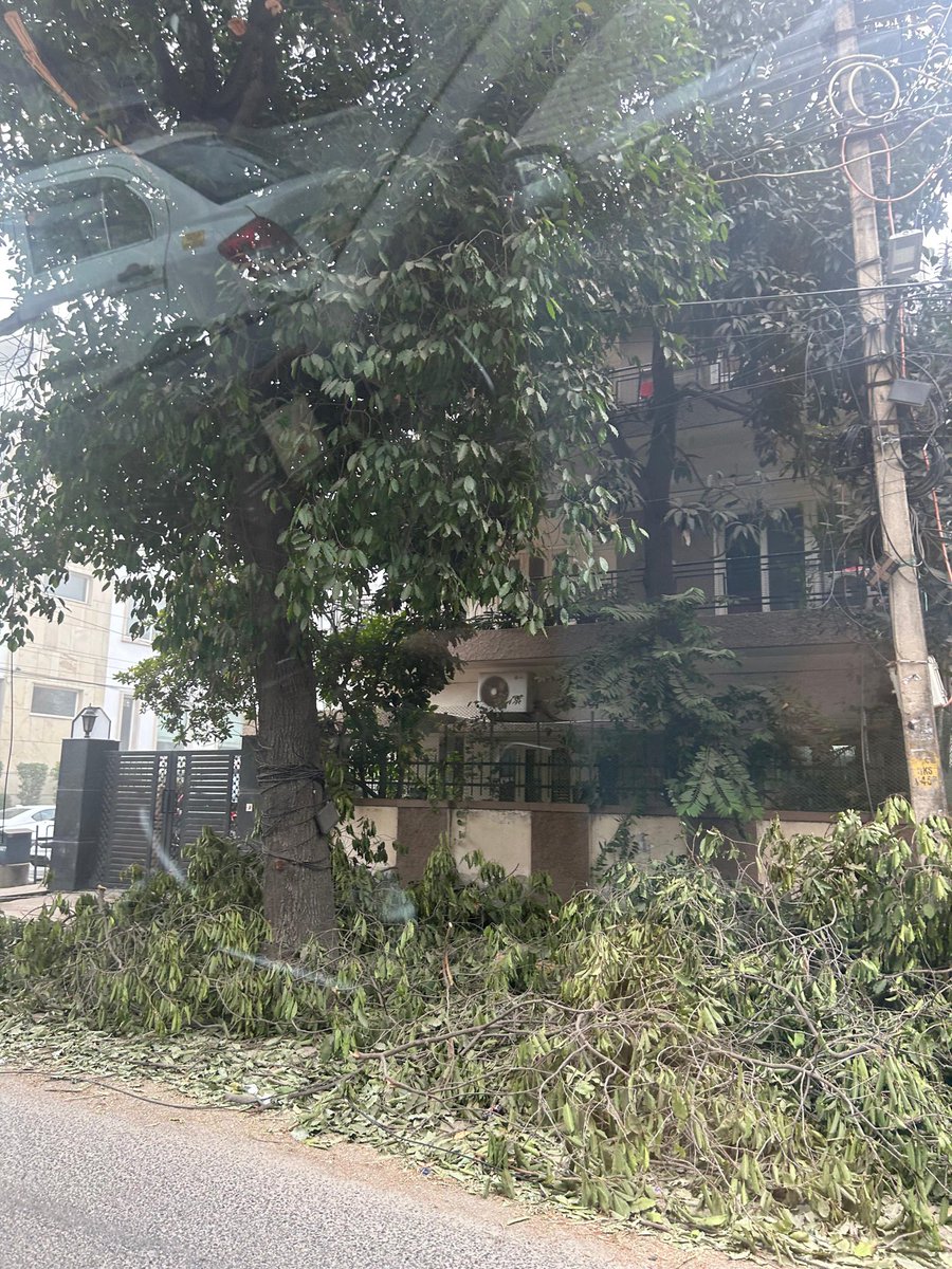 DelhiTreesSOS's tweet image. While the city chokes, the only ‘natural air purifiers’ are being hacked in the name of pruning. Absolutely unforgivable. What’ll take @MCD_Delhi to train its staff on pruning. 

Pls take urgent action! @gupta_rekha @mssirsa @LtGovDelhi @AshwaniKumar_92 
📍Green Park Market
