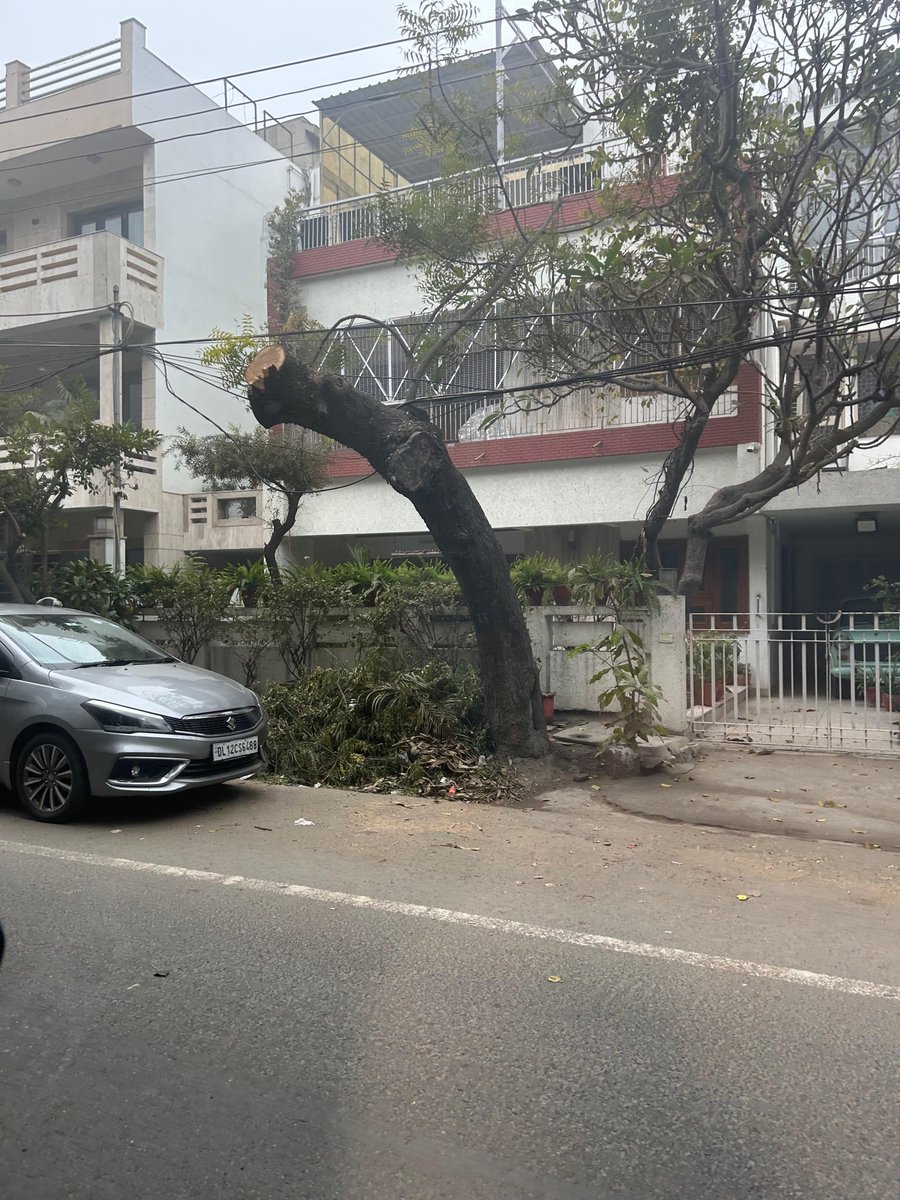 DelhiTreesSOS's tweet image. While the city chokes, the only ‘natural air purifiers’ are being hacked in the name of pruning. Absolutely unforgivable. What’ll take @MCD_Delhi to train its staff on pruning. 

Pls take urgent action! @gupta_rekha @mssirsa @LtGovDelhi @AshwaniKumar_92 
📍Green Park Market