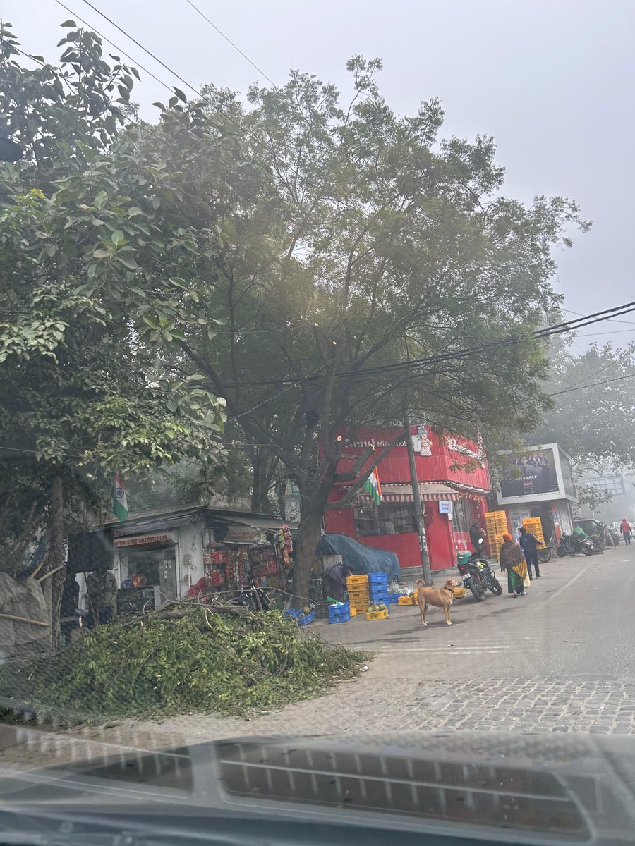 DelhiTreesSOS's tweet image. While the city chokes, the only ‘natural air purifiers’ are being hacked in the name of pruning. Absolutely unforgivable. What’ll take @MCD_Delhi to train its staff on pruning. 

Pls take urgent action! @gupta_rekha @mssirsa @LtGovDelhi @AshwaniKumar_92 
📍Green Park Market