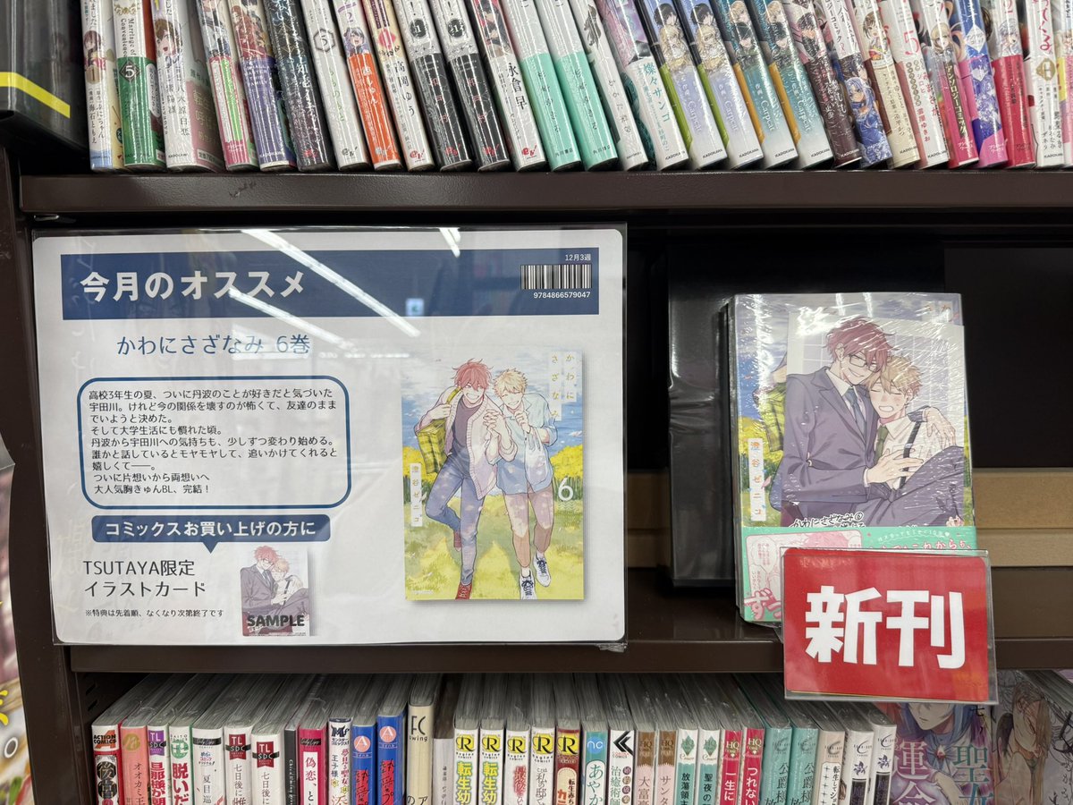 150枚セット両面イラストカード【新品】TSUTAYA限定特典2025 TSUTAYA限定特典あり】『SAKAMOTO DAYS 22巻』お買い上げの方に