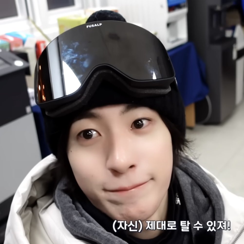 🐶🐷 tweet media