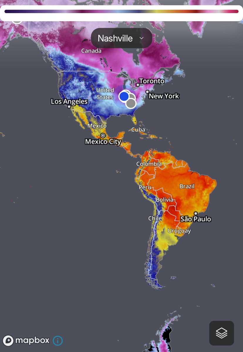 🌿🦋🍂Frog 🍄🪲🪶 tweet media