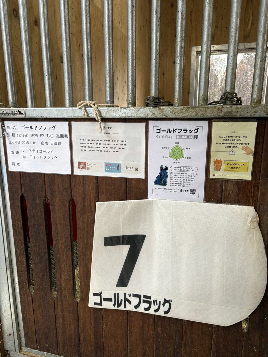 ぱみゅ𓃗 (@pamyu__oO) / Posts / X