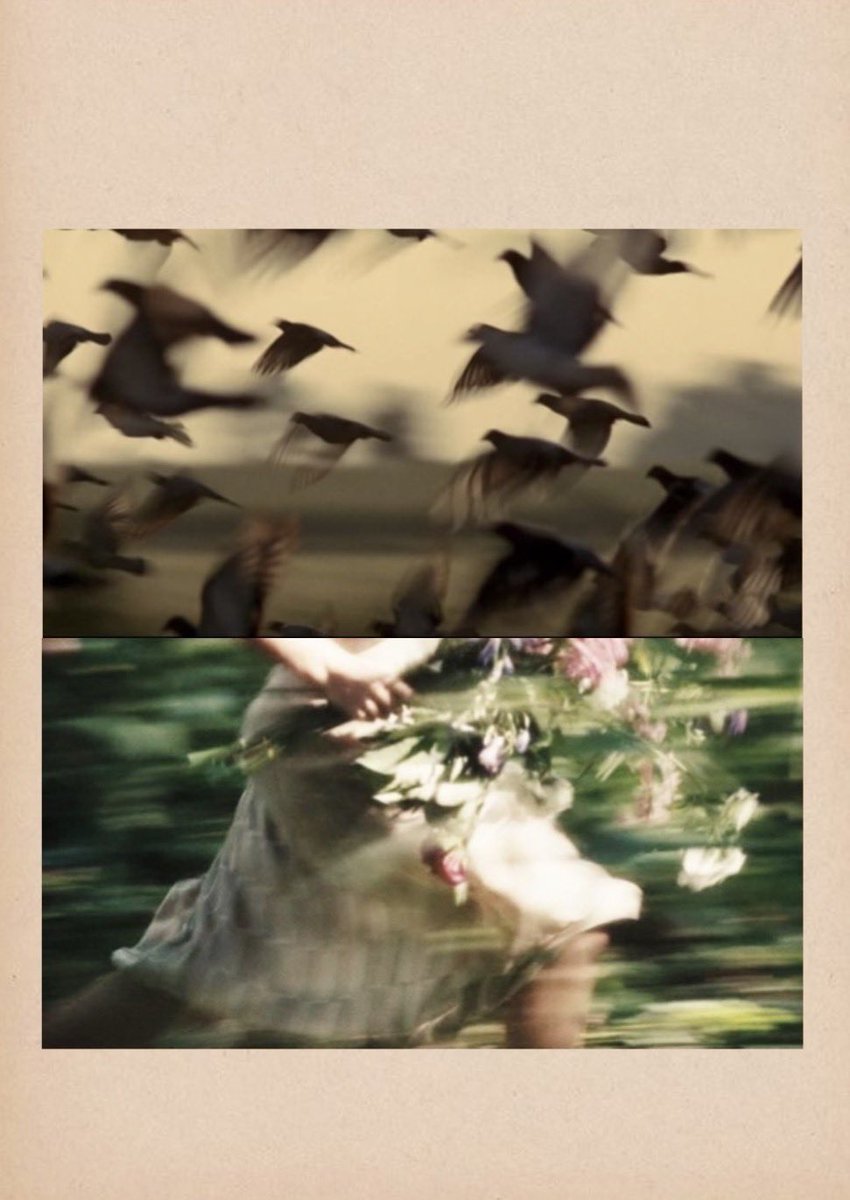 GM 
Happy New Week 
Not Chased, Just Free
1/3 · 10 xtz on objkt.