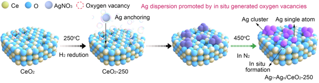 Ning Yan Lab tweet media