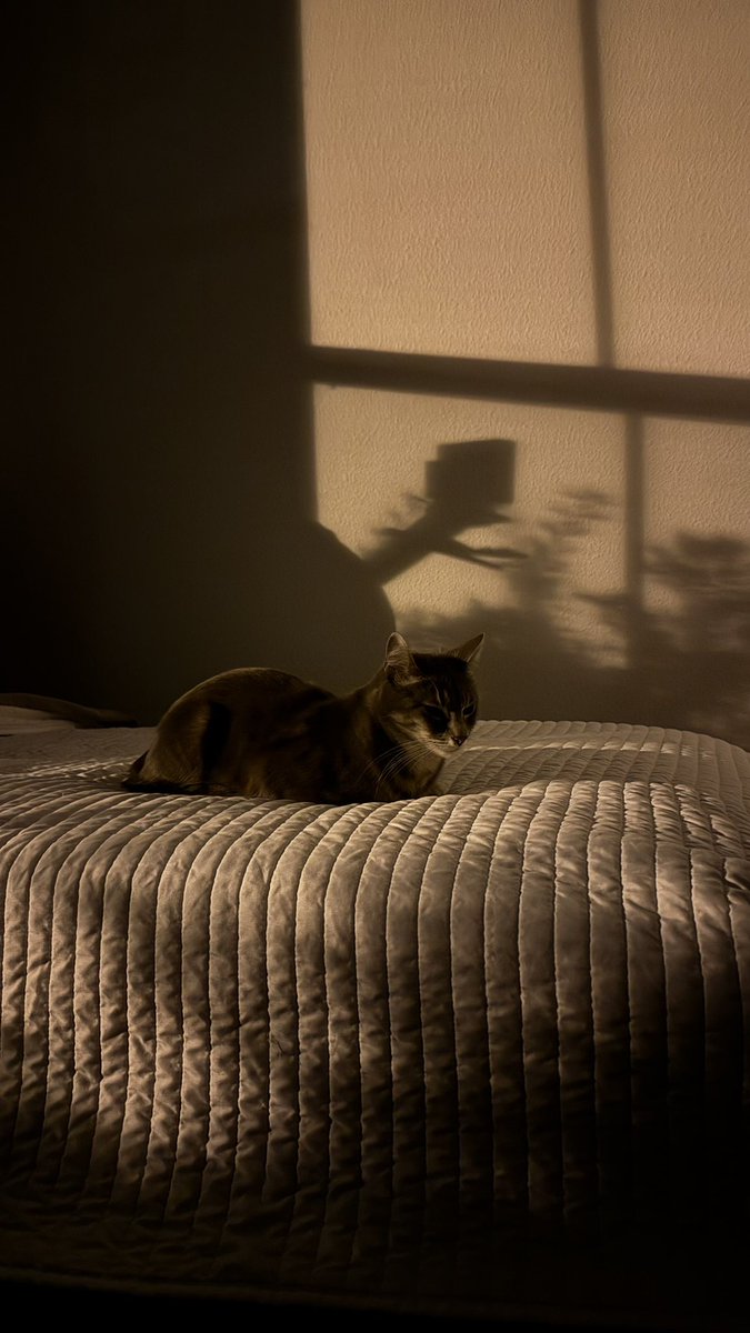 when your friend is a photographer >>