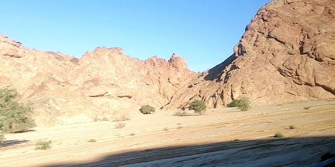 MannyR76 tweet media