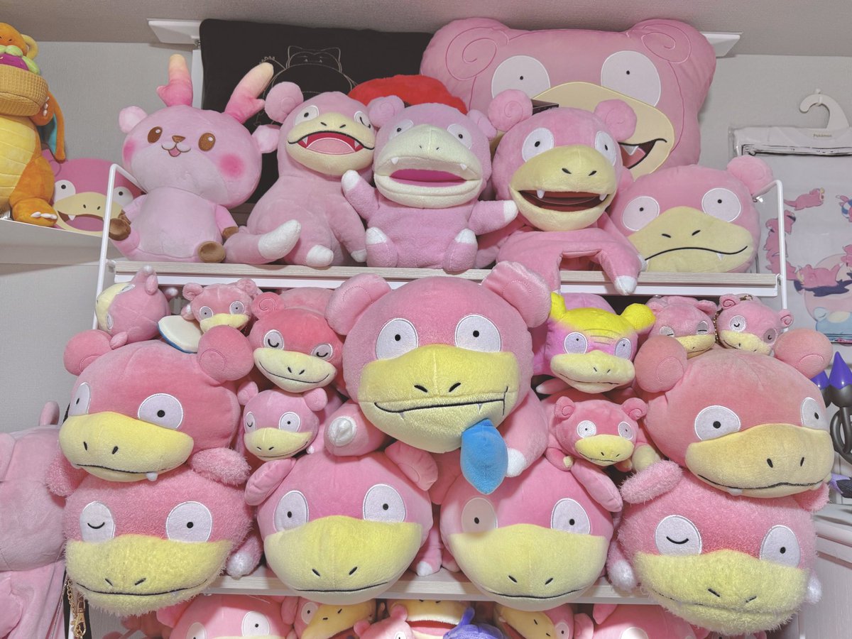 おかげさまで、棚が1つ全部ヤドンちゃんで埋まりました☺️💕 これから