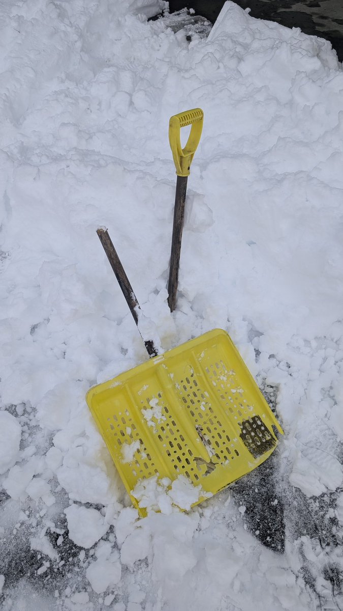 詰wwwんwwwwだwwwwww