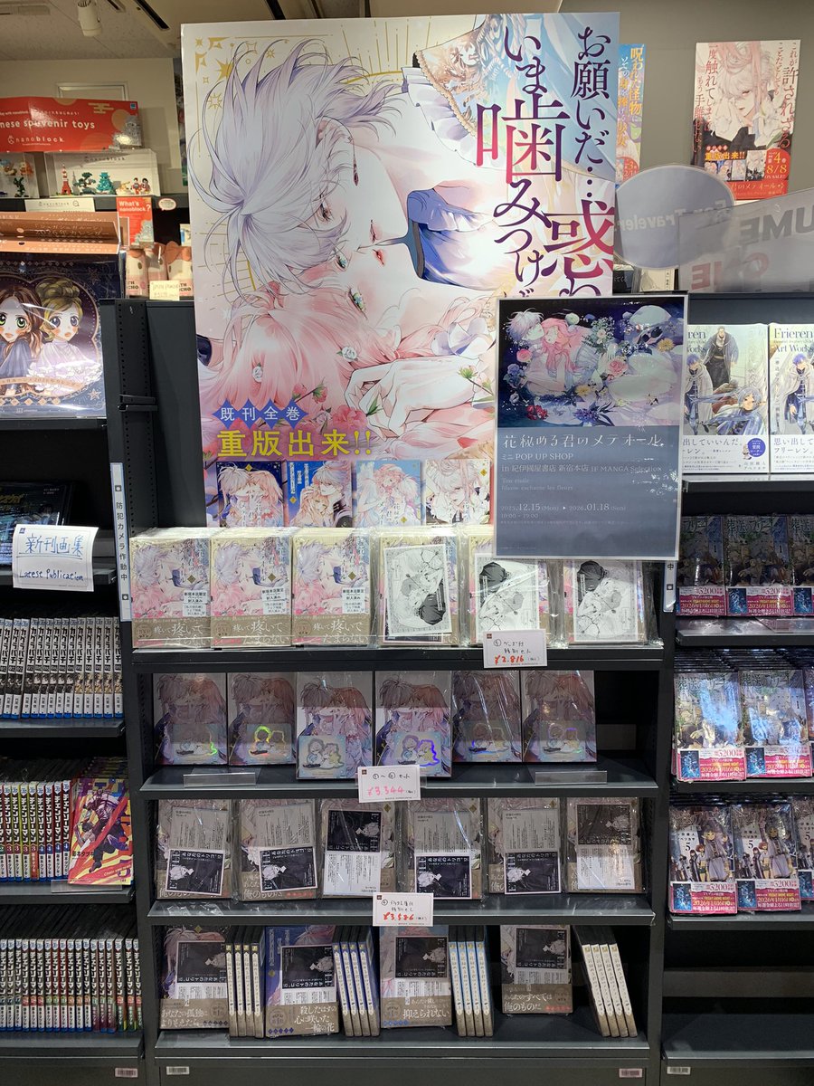 ─── ⋆₊˚ ☆⋆𓈒 ☽ ₊ ☆ 𓈒˚.⋆ ─── 花秘める君のメテオール