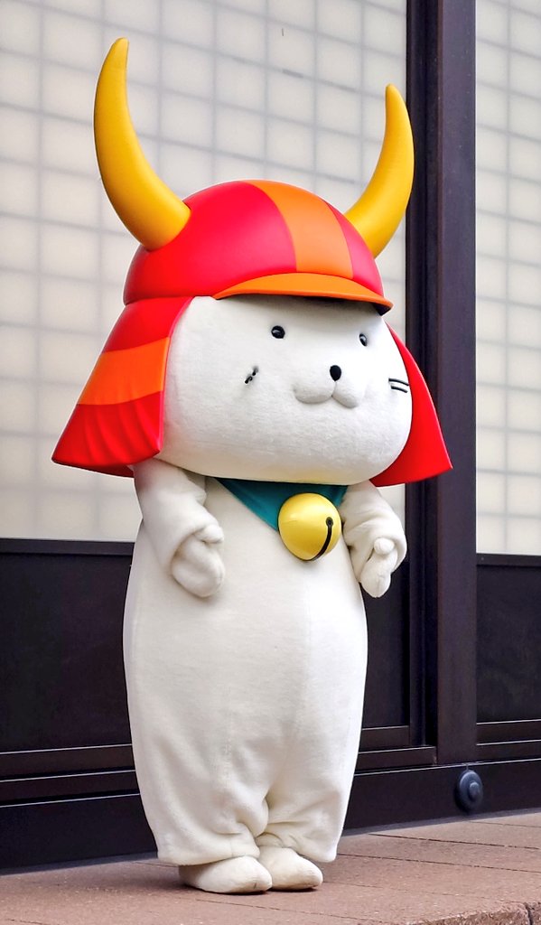 Post by まっきー🥦 on X: 生ひこにゃん！