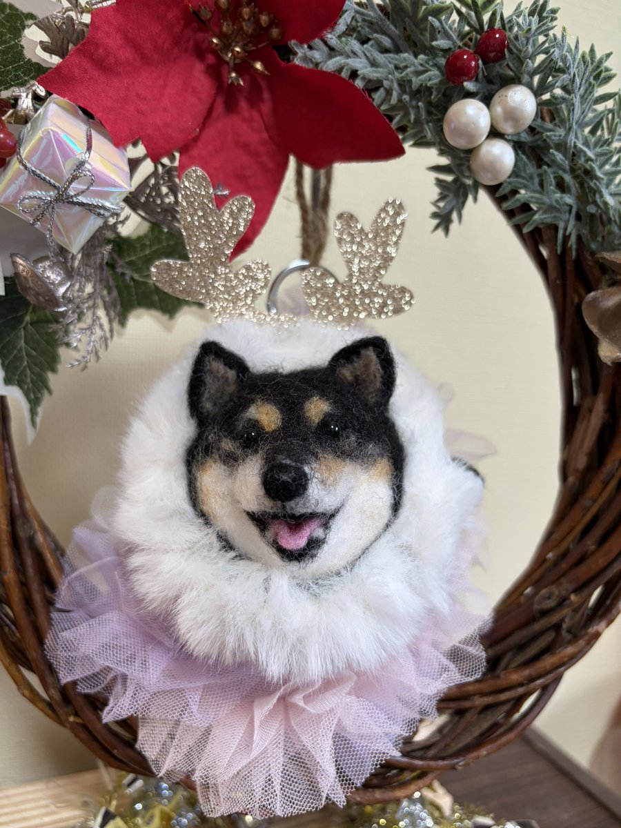 手作りリースとチビこまちもおしゃれしてクリスマス仕様に変身🎄✨
ぐーかわな仕上がりで満足💕
#まっしーさん羊毛フェルト