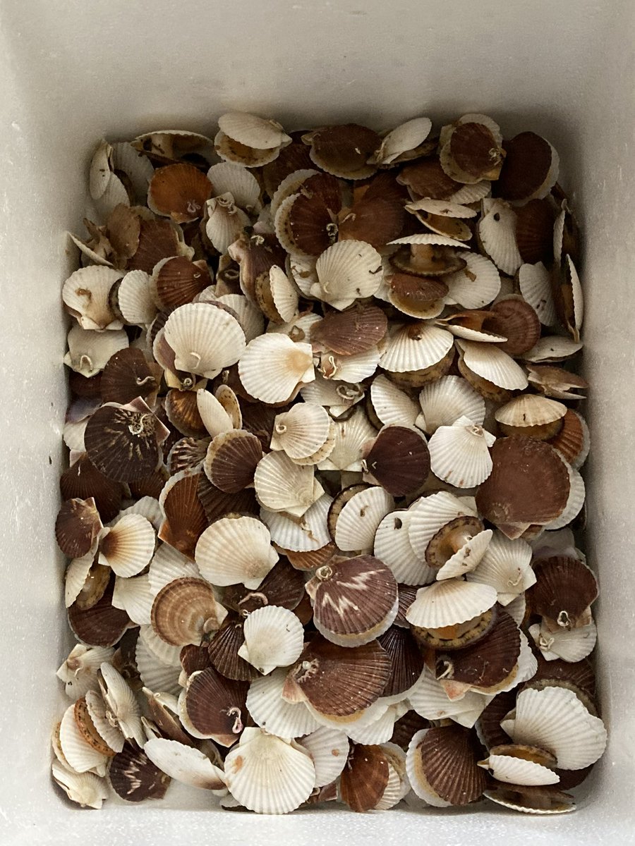 equality (@inzequality) / Posts / X