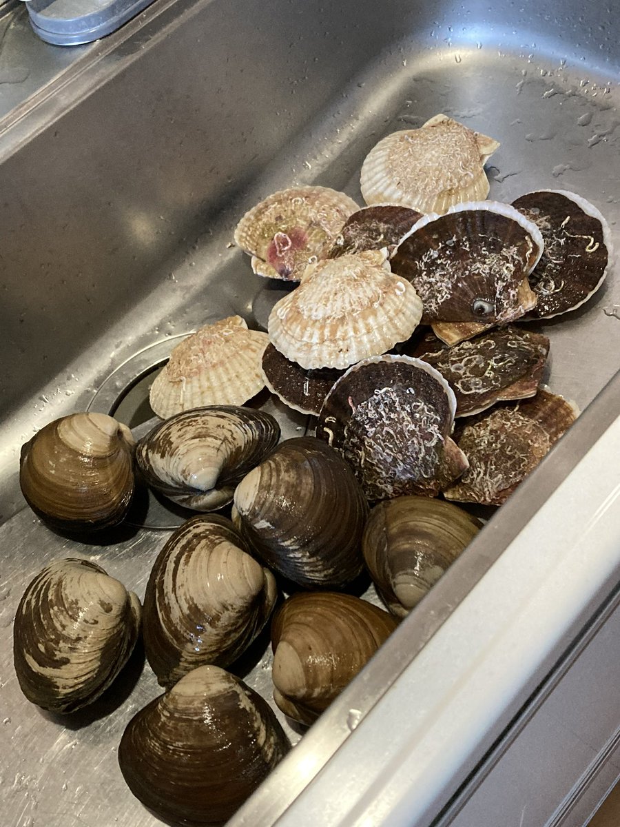 equality (@inzequality) / Posts / X