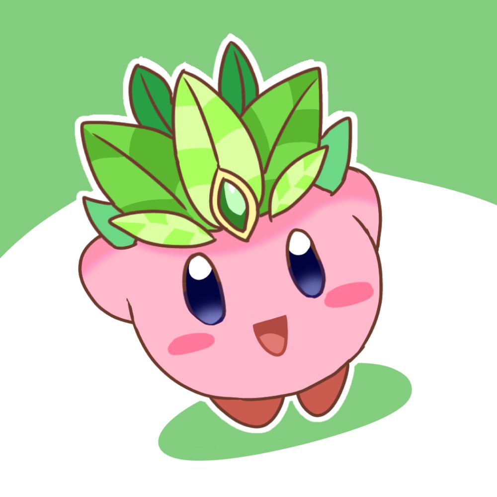 お題箱よりカービィ せっかくなので1番好きなリーフ 数年前から薄々