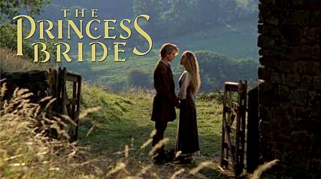 BriAnimator_'s tweet image. RIP Rob Reiner who made some of my favorite movies of all time 🖤🎬