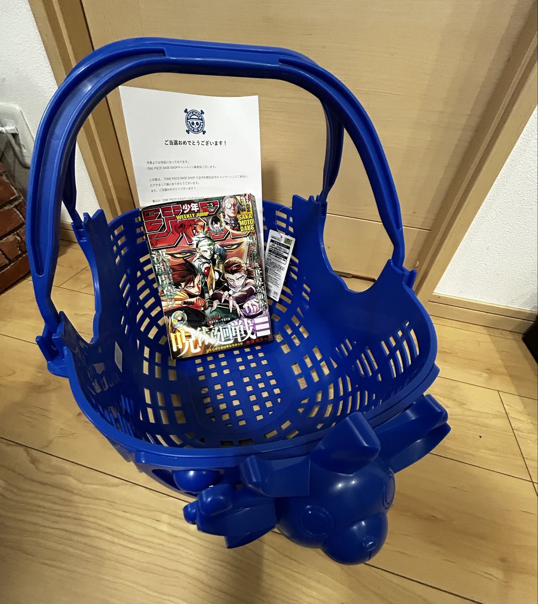 ONEPIECEBASESHOP キャンペーンに当選したサニー号のカゴが届きました