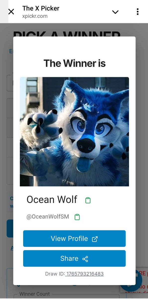 Lexi-art-furry tweet media
