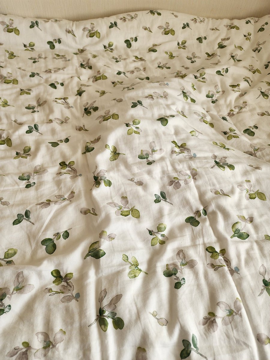 猫は映ってませんが、ネコ様がいます