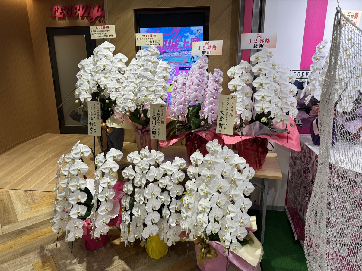 ayako (@ayakon) / Posts / X