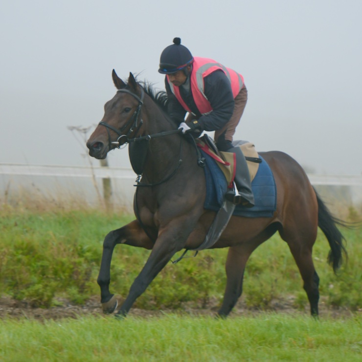 olivercoleracing tweet media