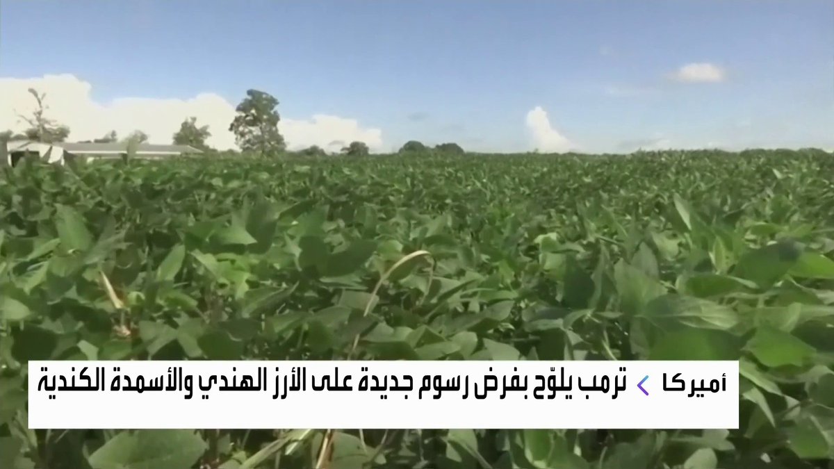 ترمب يلوّح بفرض رسوم جديدة على الأرز الهندي والأسمدة الكندية الأسواق العربية _Business 