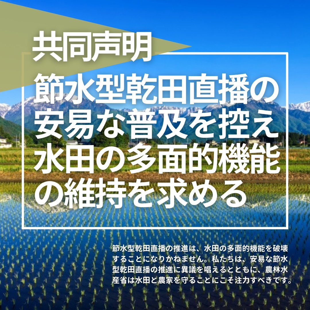 OKseedproject's tweet photo. 《水田と農家を守ろう！》
既にお知らせしていますが、OKシードプロジェクトなど40団体は、「共同声明：節水型乾田直播の安易な普及を控え、水田の多面的機能の維持を求める」を2025年10月27日付で発表しました。

◆共同声明について詳細記事はコチラ
https://t.co/iGXjJ6vEvv

#食と農を守ろう https://t.co/VWnT6R3LPI