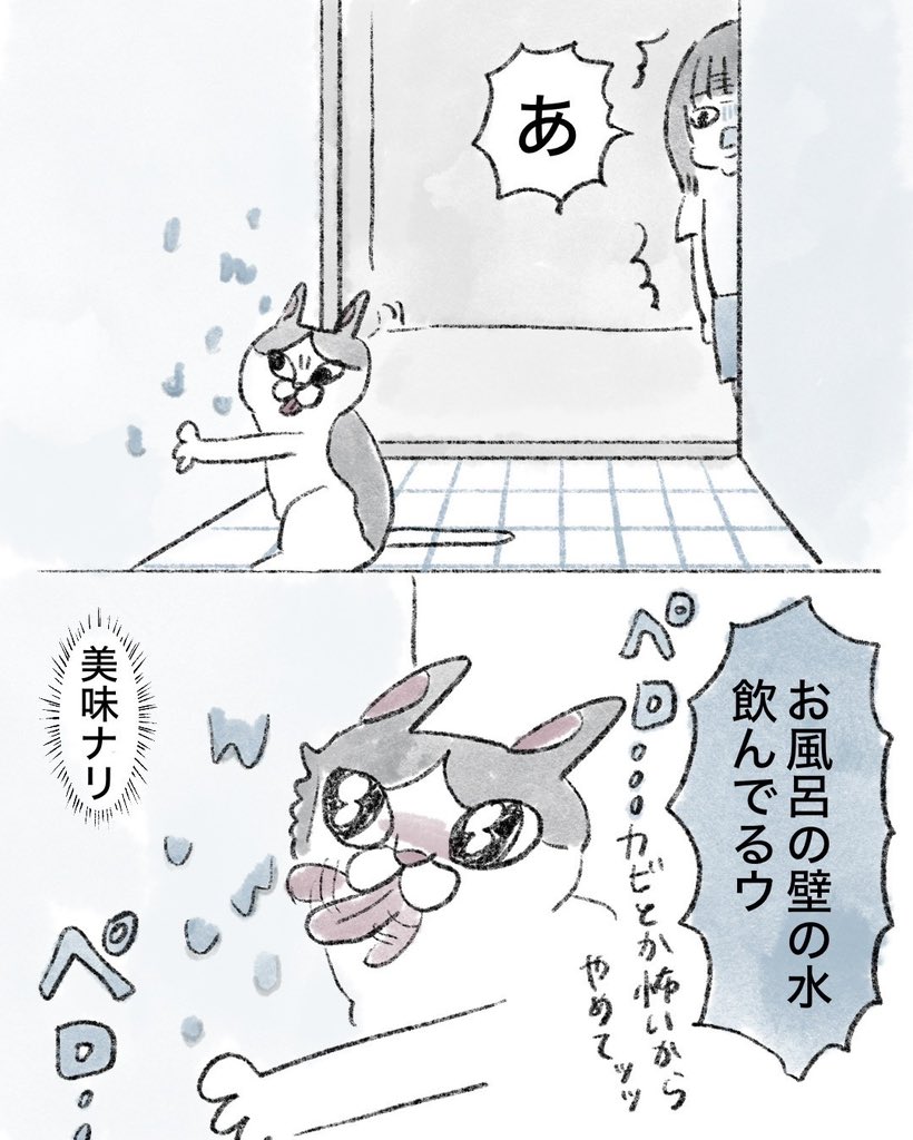 【猫漫画】

水こだわる猫 