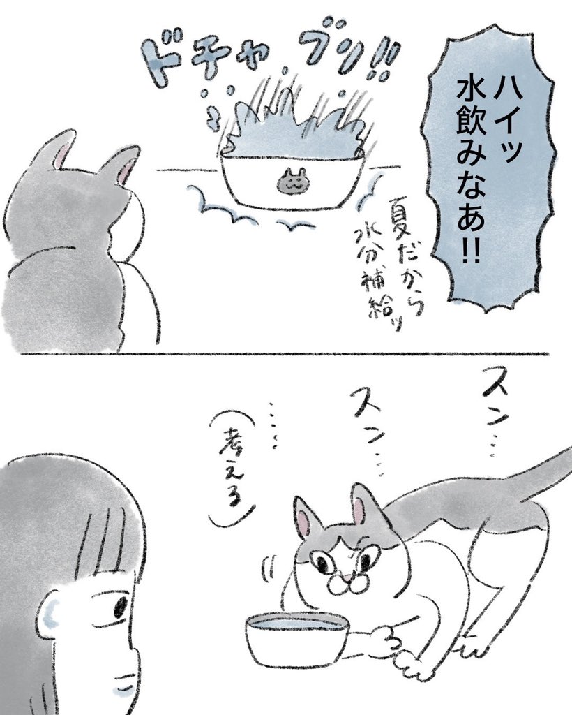 【猫漫画】

水こだわる猫 
