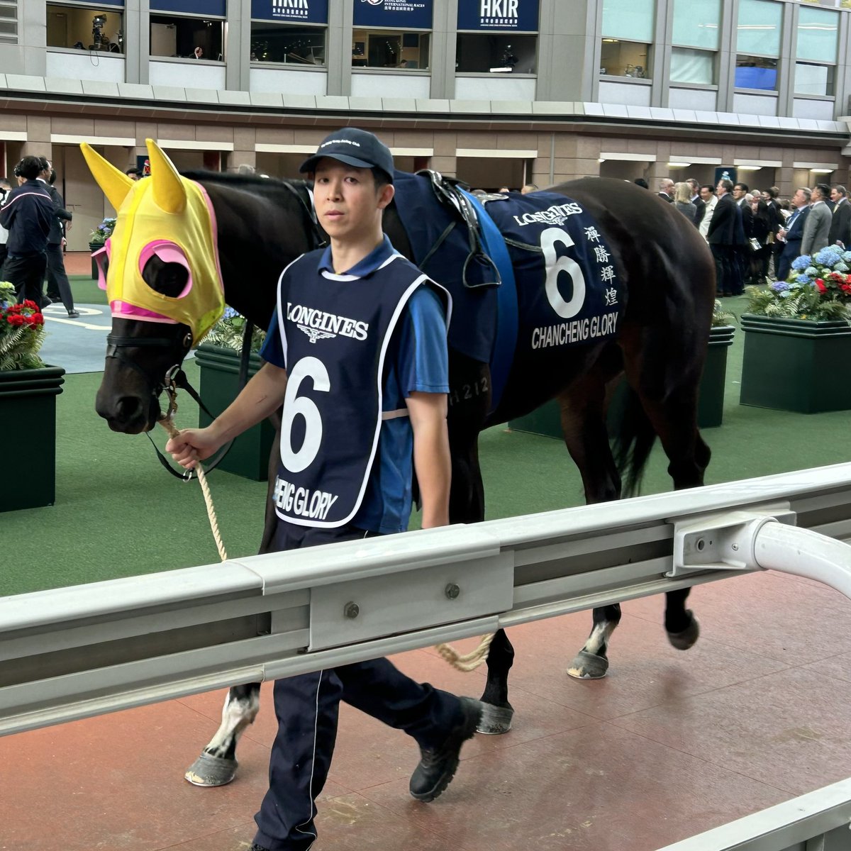 ぴょんぴょんうま (@tFb3Ozev5F46449) / Posts / X