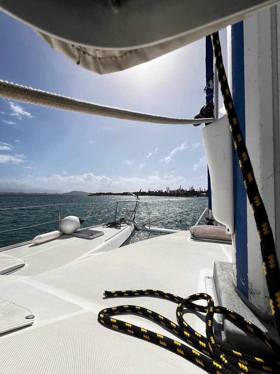 Solana_Emperor's tweet image. Gm if you Gm. 🌞

Let’s get to work.