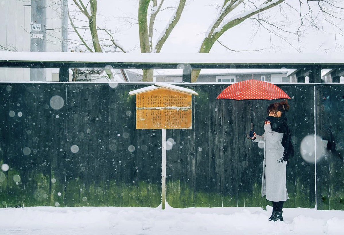 へいじろ (@heijiro9) / Posts / X