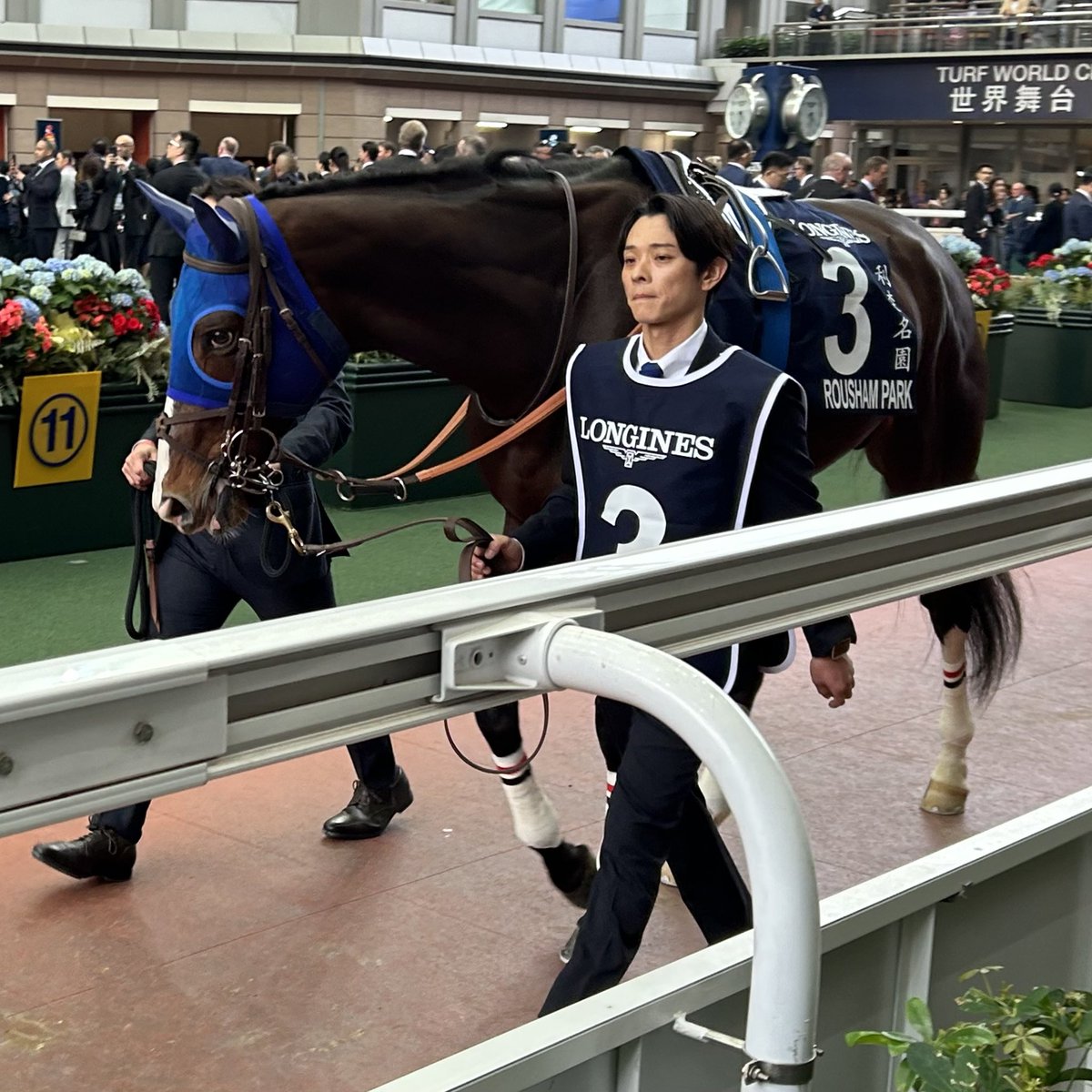 ぴょんぴょんうま (@tFb3Ozev5F46449) / Posts / X